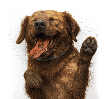 Simbia for dogs